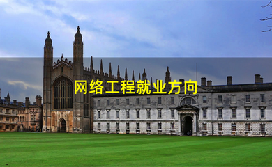 网络工程与计算机网络应用软件 融合驱动下的多元化就业前景