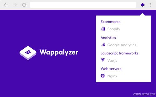 开源浏览器插件Wappalyzer 一键扒出网站背后使用的技术栈